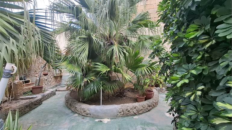 Qormi - House of Character + Garden + Cellar