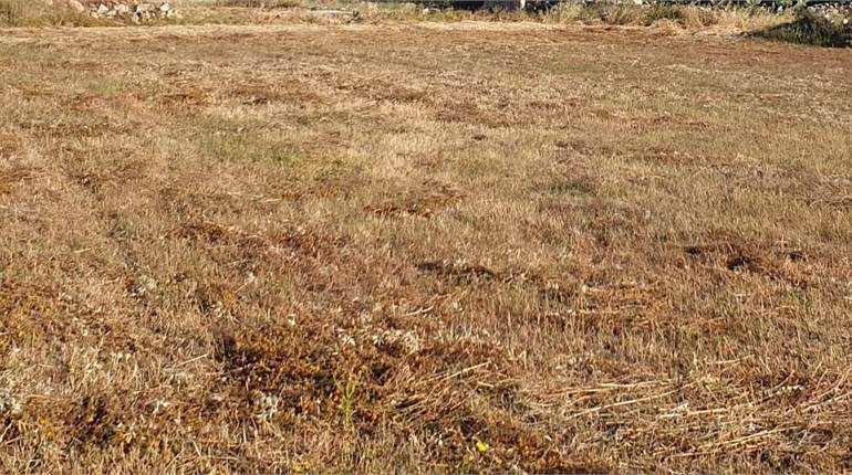 M'Xlokk - 2 Tumoli Agricultural Field + Room 