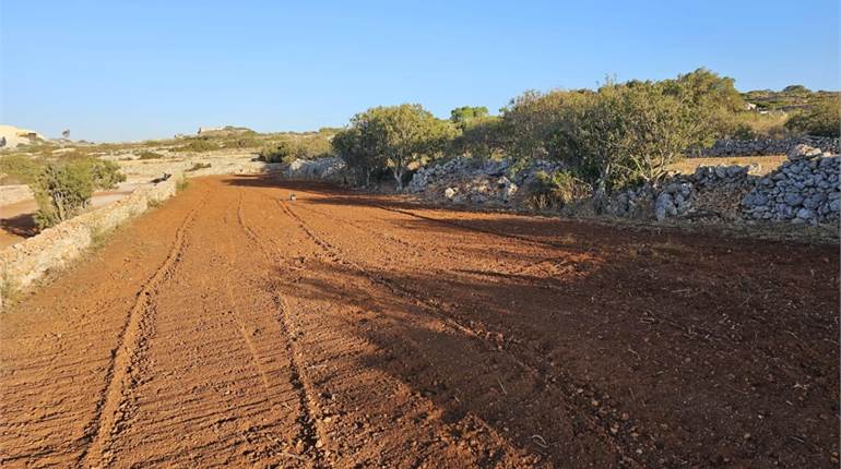 Dingli - 3 Tumuli Agriculture Land + Buskett Verdala Views