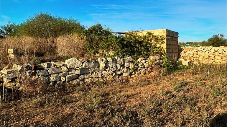 Qrendi - 2 Tomoli Field