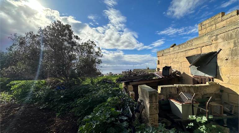 Zurrieq - Farm House Two Tumoli of Land