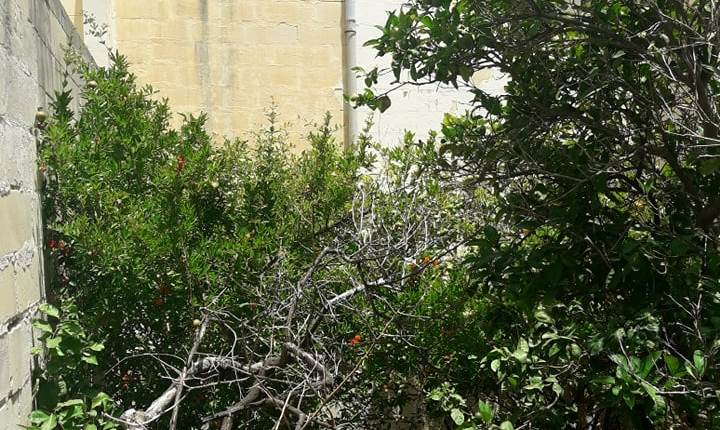 Qormi - Town House with Large street level Garage